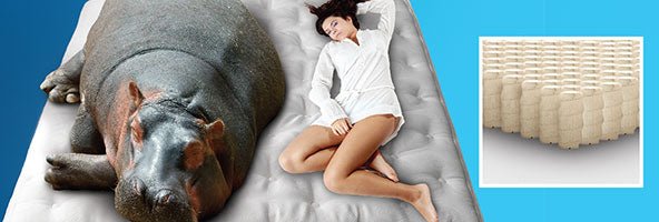 The Best Mattress for Minimal Partner Disturbance - Mattress & Pillow Science