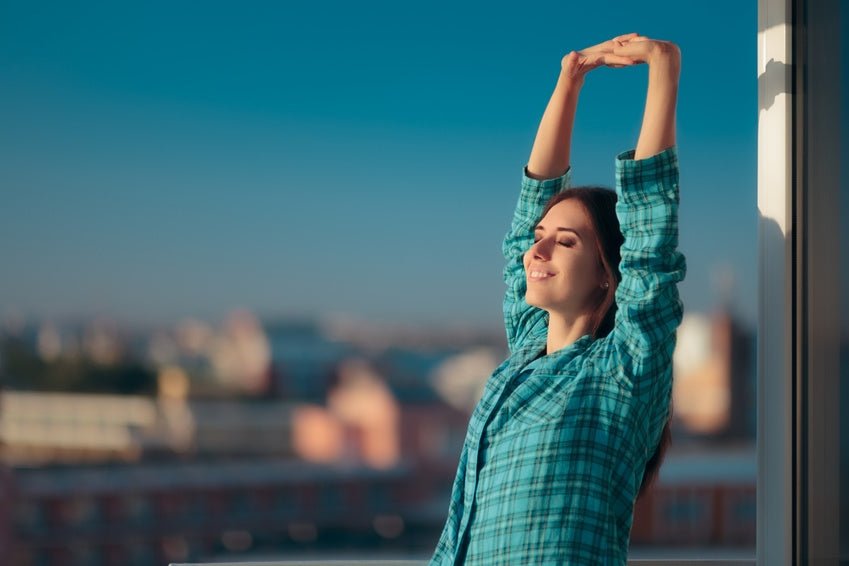 The Harmony Travel Flexi Pillow: Your New Best Memory Foam Friend - Mattress & Pillow Science