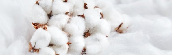 Cotton Mattress Protectors - Mattress & Pillow Science