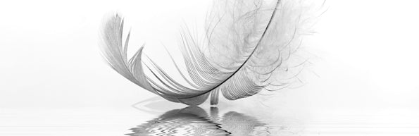 Feather Quilts - Mattress & Pillow Science