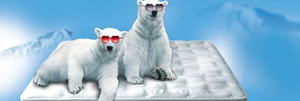 Medium Mattresses - Mattress & Pillow Science