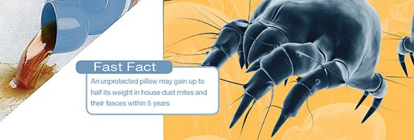 Pillow Protectors - Mattress & Pillow Science