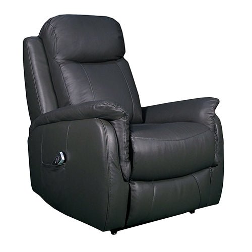 Elevate Ascot Dual Motor Lift Chair Leather - Mattress & Pillow ScienceLift Chairs