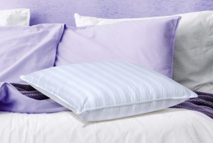 Herington European Pillow - Mattress & Pillow SciencePillows