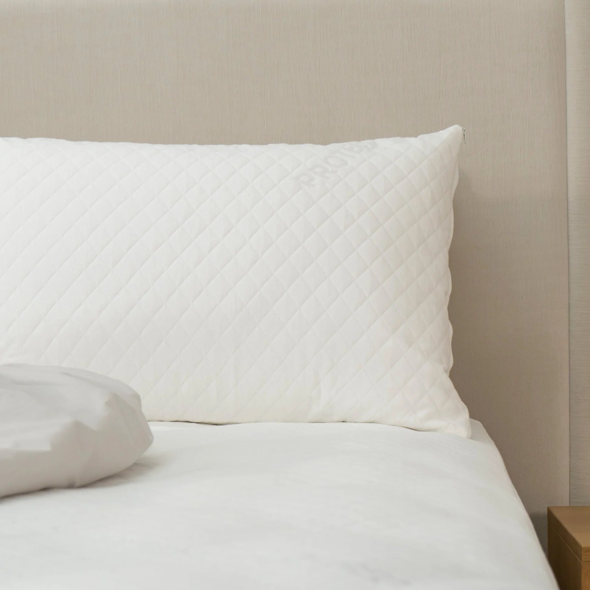 Protect - A - Bed Cumulus Pillow Protector - Mattress & Pillow ScienceProtection