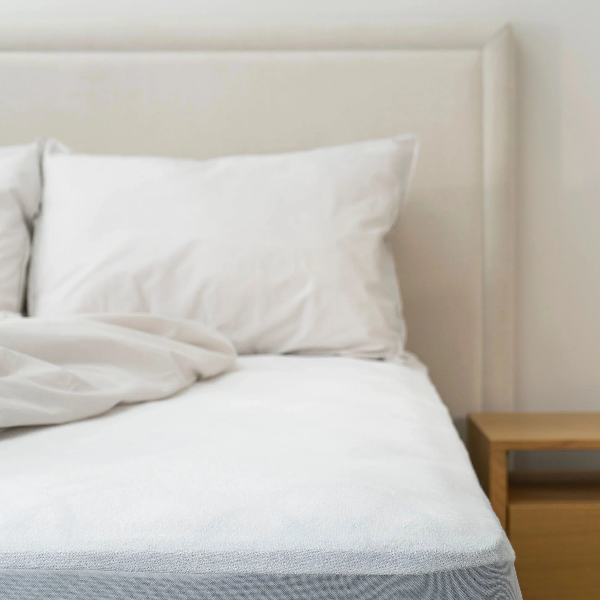 Protect - A - Bed Staynew Pillow Protector - Mattress & Pillow ScienceProtection