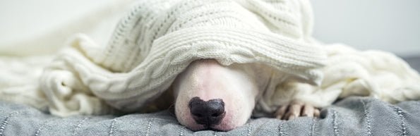 Winter Quilts - Mattress & Pillow Science