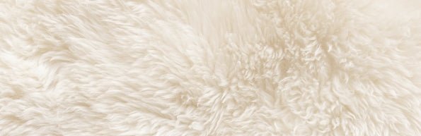 Wool Mattress Protectors - Mattress & Pillow Science